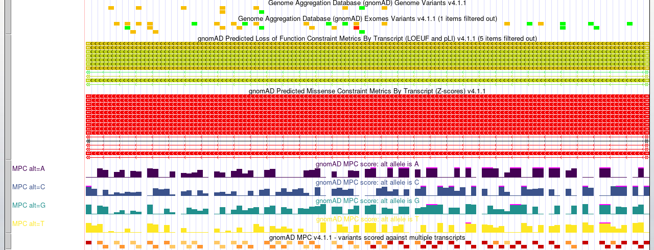 Genome Browser screenshot of the gnomAD v4.1.1 and MPC tracks