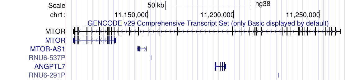 full display mode