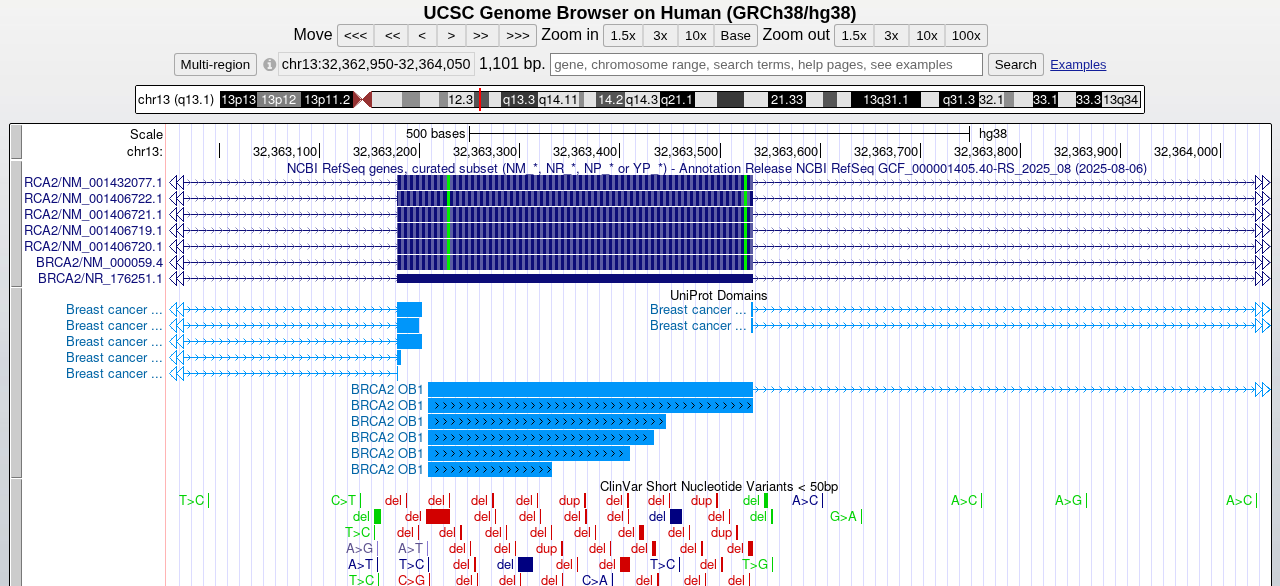 BRCA2 Asp2723His: RefSeq, UniProt OB1 domain, ClinVar variants