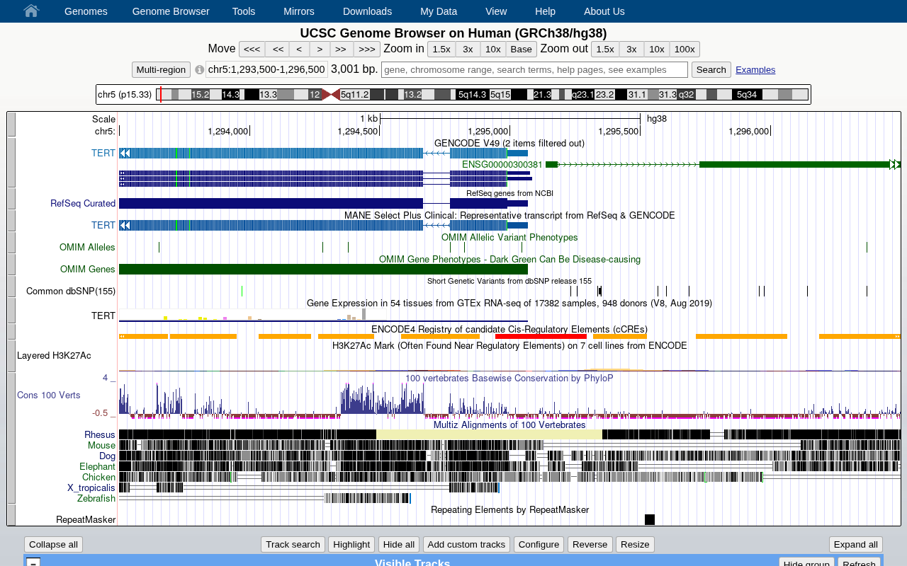 cCREs at the TERT promoter